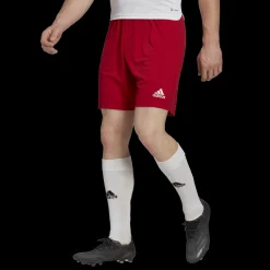 ENT22 Shorts, miesten treenishortsit - Jalkapalloshortsit - ENT22 Shorts, miesten treenishortsit