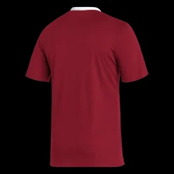 Entrada 22 Jersey, miesten t-paita - Jalkapallopaidat - Entrada 22 Jersey, miesten t-paita