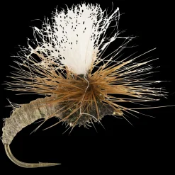 Klinkhammer pintaperho, vesiperhonen - Valmisperhot - Klinkhammer pintaperho, vesiperhonen