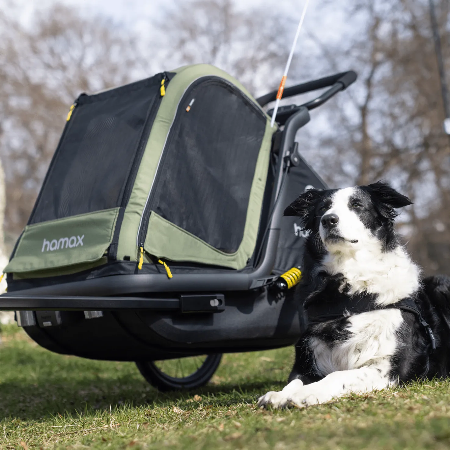 Pluto Medium, koirankuljetuskärry - Kuljetuskärryt Pyörään - Pluto Medium, koirankuljetuskärry