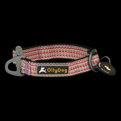 Rescue Collar Prism Green, kaulapanta - Koiran Pannat, Hihnat Ja Koiran Fleksit - Rescue Collar Prism Green, kaulapanta