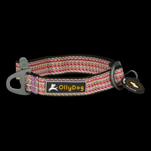 Rescue Collar Prism Green, kaulapanta - Koiran Pannat, Hihnat Ja Koiran Fleksit - Rescue Collar Prism Green, kaulapanta