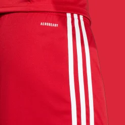 Squadra 25 Shorts, miesten jalkapalloshortsit - Jalkapalloshortsit - Squadra 25 Shorts, miesten jalkapalloshortsit