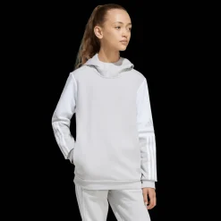 Squadra 25 Sweat Hoody, nuorten jalkapallopaita - Pitkähihaiset Treenipaidat - Squadra 25 Sweat Hoody, nuorten jalkapallopaita