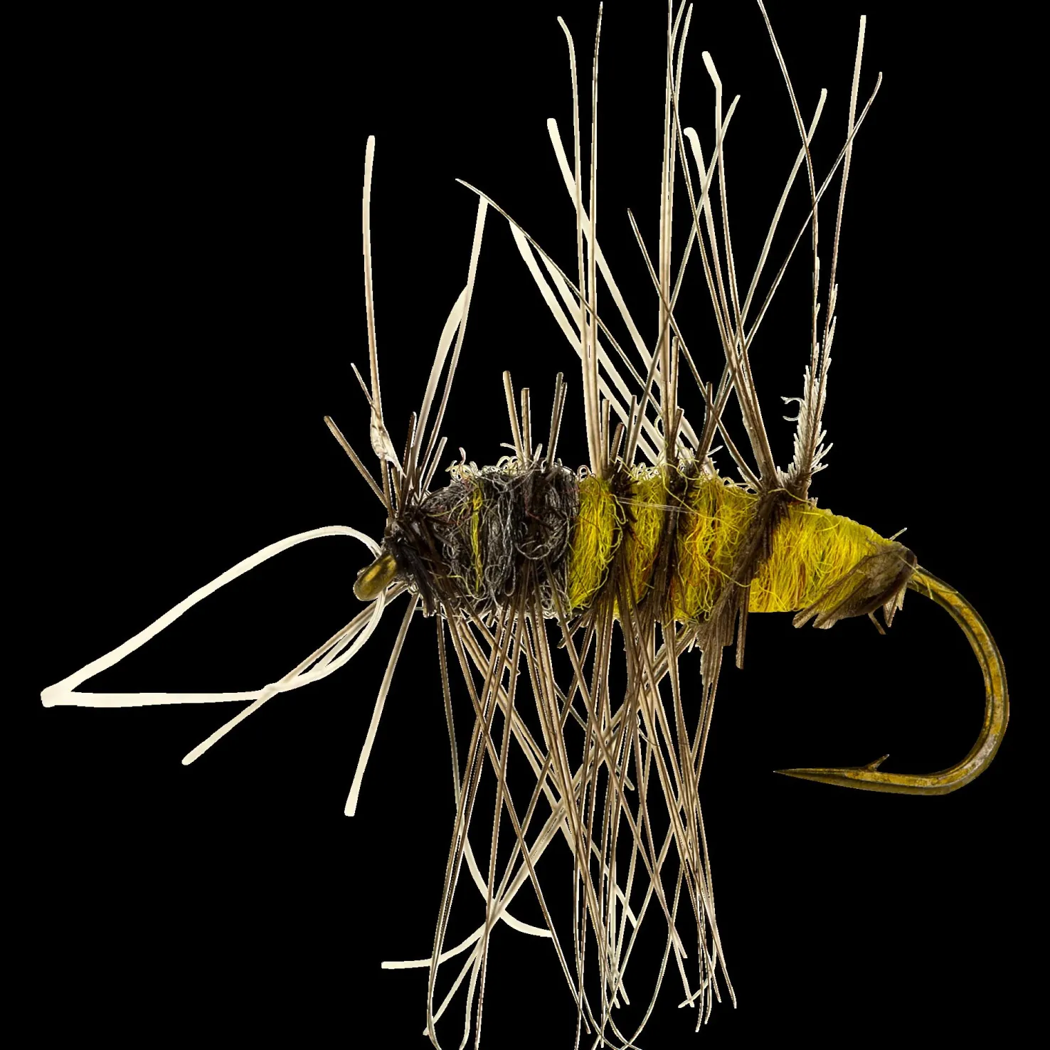 Superpuppa yellow nymfi - Valmisperhot - Superpuppa yellow nymfi