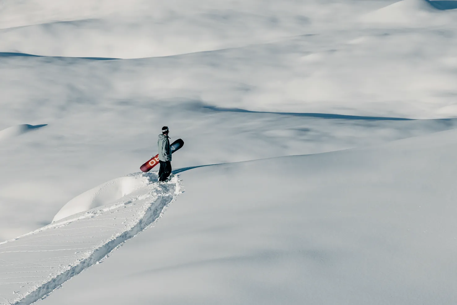 Team 24/25, miesten lumilauta - Lumilaudat - Team 24/25, miesten lumilauta